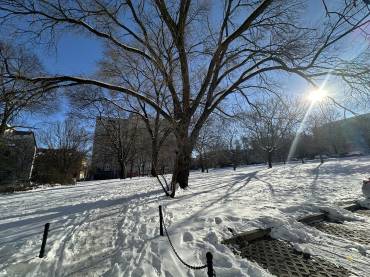 Gyönyörűen felújított 2 szobás lakás eladó az Újlak utcában
